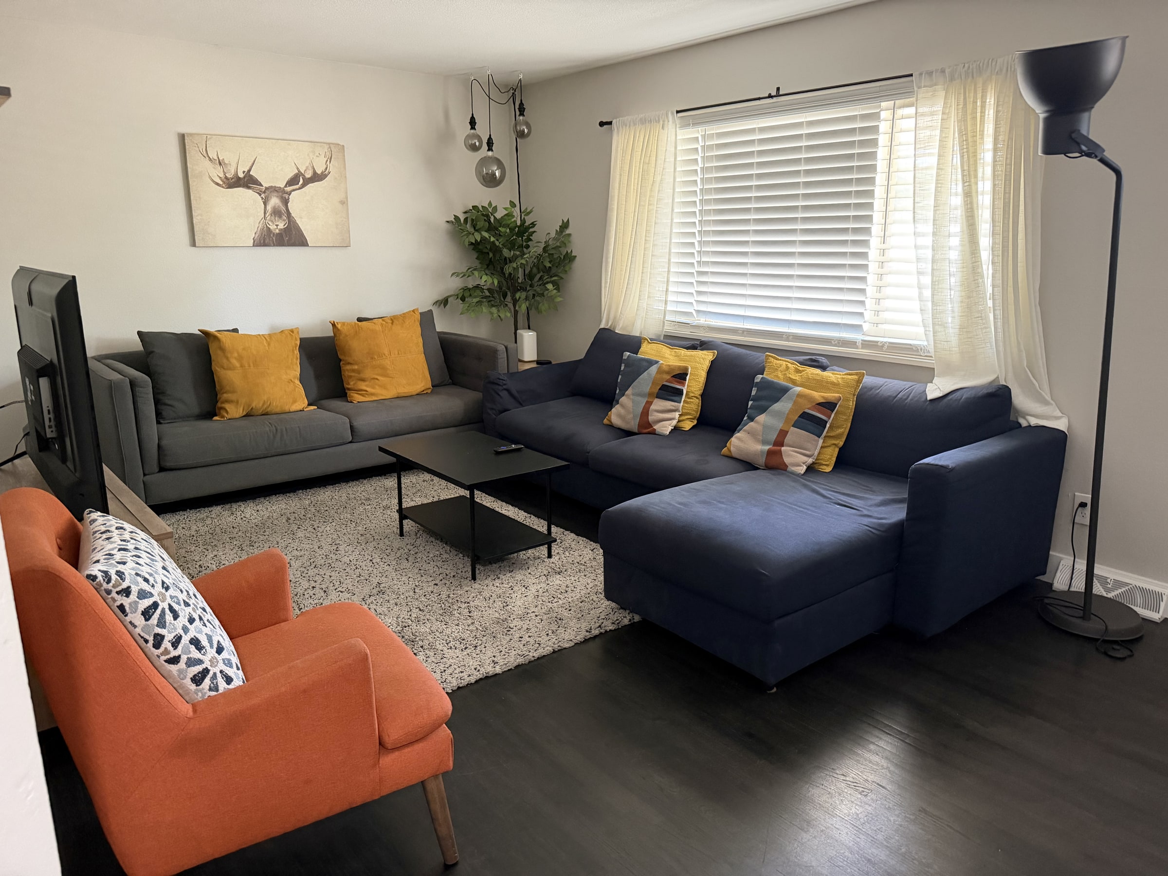 Bright living room staged with navy sofa, gray sofa, and gold pillows